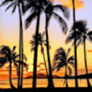 Meet your Posher, Havingfun